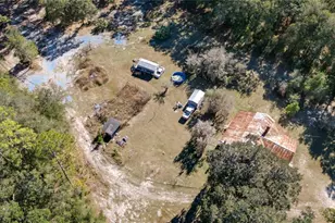 815 NE 145th Avenue Rd, Silver Springs, FL 34488 - Photo 1