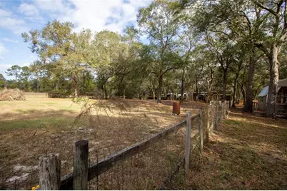 8076 Blazing Star Road, Melrose, FL 32666 - Photo 73