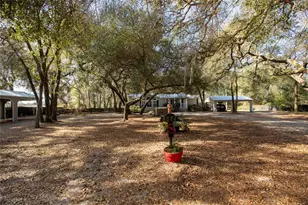 8076 Blazing Star Rd, Melrose, FL 32666 - Photo 5