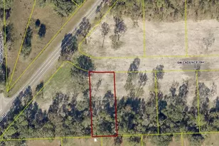 137 SW Cadence Gln, Lake City, FL 32024 - Photo 19