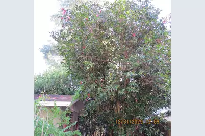 3617 SW 20th Street, Gainesville, FL 32608 - Photo 19