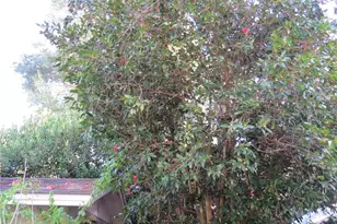 3617 SW 20th St, Gainesville, FL 32608 - Photo 19