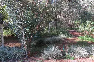 3617 SW 20th St, Gainesville, FL 32608 - Photo 23