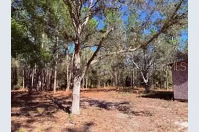 2629 NW 29th Terrace, Bell, FL 32619 - Photo 25