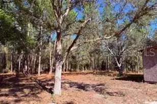 2629 NW 29th Terrace, Bell, FL 32619 - Photo 25
