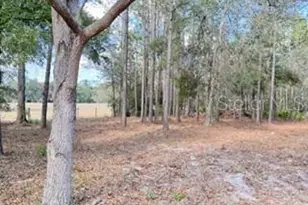 2629 NW 29th Terrace, Bell, FL 32619 - Photo 31