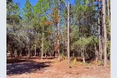 2629 NW 29th Terrace, Bell, FL 32619 - Photo 21