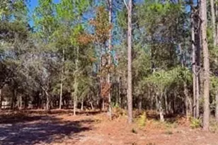 2629 NW 29th Terrace, Bell, FL 32619 - Photo 21