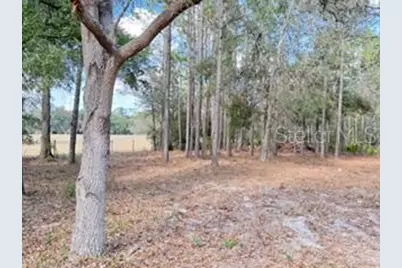 2629 NW 29th Terrace, Bell, FL 32619 - Photo 29