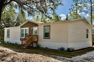 2629 NW 29th Terrace, Bell, FL 32619 - Photo 5