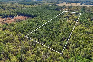 317 SW Cumberland St, Fort White, FL 32038 - Photo 23