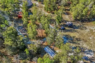 317 SW Cumberland St, Fort White, FL 32038 - Photo 19