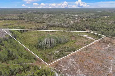 3251 SE County Road 343, Morriston, FL 32668 - Photo 9