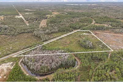 3251 SE County Road 343, Morriston, FL 32668 - Photo 11