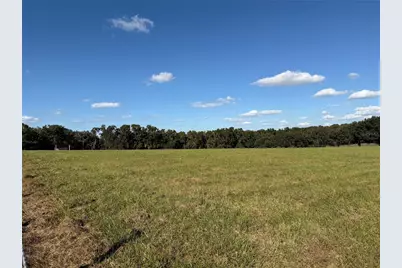 6109 SW Elim Church Road, Fort White, FL 32038 - Photo 65