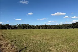 6109 SW Elim Church Rd, Fort White, FL 32038 - Photo 65