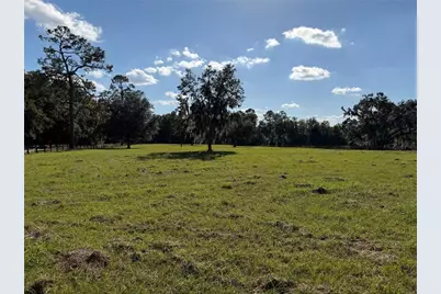 6109 SW Elim Church Road, Fort White, FL 32038 - Photo 67