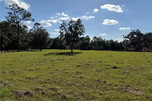 6109 SW Elim Church Rd, Fort White, FL 32038 - Photo 67