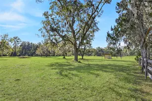 6109 SW Elim Church Rd, Fort White, FL 32038 - Photo 77