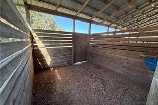 6109 SW Elim Church Rd, Fort White, FL 32038 - Photo 53