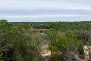 194 Whirlwind Loop, Hawthorne, FL 32640 - Photo 33