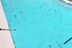 5751 NW 127 Pl, Chiefland, FL 32626 - Photo 45