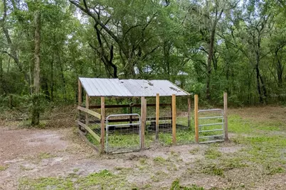 14545 SW 155th Avenue, Brooker, FL 32622 - Photo 41