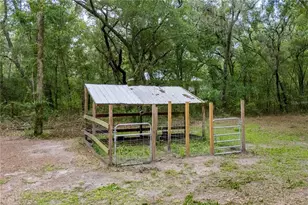 14545 SW 155th Ave, Brooker, FL 32622 - Photo 41