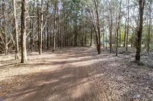 8350 NW 77th Pl, Chiefland, FL 32626 - Photo 9