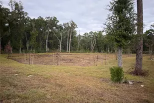 5322 SW 52nd Ct, Gainesville, FL 32608 - Photo 27