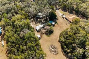 19651 NE 50 St, Williston, FL 32696 - Photo 51