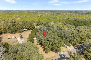 19651 NE 50 St, Williston, FL 32696 - Photo 47