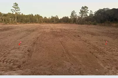 7251 NE 105th Avenue, Bronson, FL 32621 - Photo 3