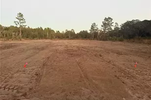 7251 NE 105th Ave, Bronson, FL 32621 - Photo 3