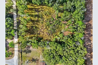 00 SE 80th Place, Trenton, FL 32693 - Photo 5