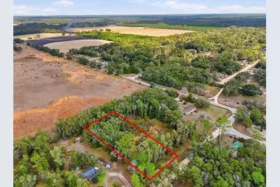 00 SE 80th Place, Trenton, FL 32693 - Photo 3