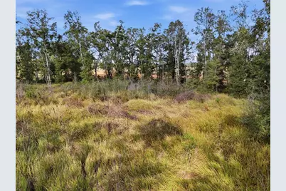 00 SE 80th Place, Trenton, FL 32693 - Photo 7