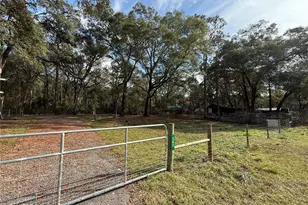 243 SE 914th St, Old Town, FL 32680 - Photo 1