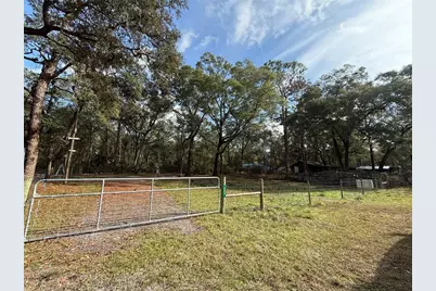 243 SE 914th Street, Old Town, FL 32680 - Photo 9