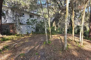 2901 SW 4 Ct, Gainesville, FL 32601 - Photo 5