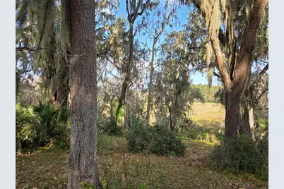 2901 SW 4th Court, Gainesville, FL 32601 - Photo 9