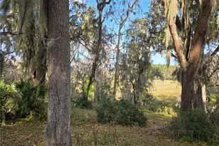 2901 SW 4 Ct, Gainesville, FL 32601 - Photo 9