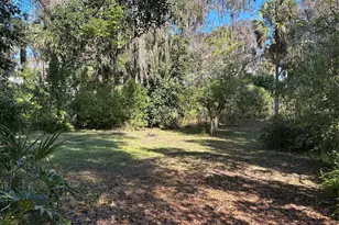 6116 Trout St, Melrose, FL 32666 - Photo 3