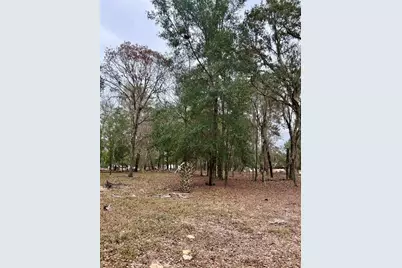 8341 W Oak Street, Crystal River, FL 34428 - Photo 45