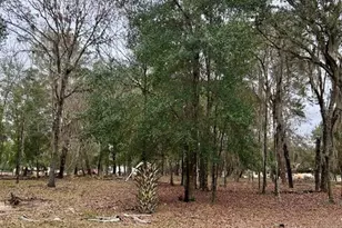 8341 W Oak St, Crystal River, FL 34428 - Photo 45