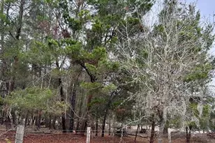 8341 W Oak St, Crystal River, FL 34428 - Photo 35