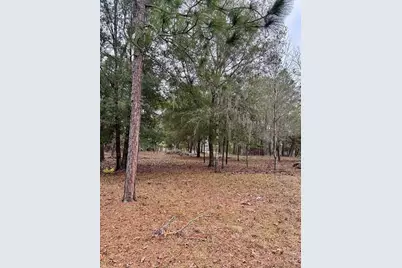 8341 W Oak Street, Crystal River, FL 34428 - Photo 43