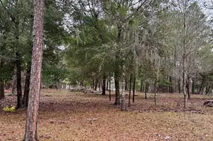 8341 W Oak St, Crystal River, FL 34428 - Photo 43