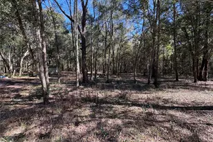 11727 SW 122nd St, Gainesville, FL 32608 - Photo 21