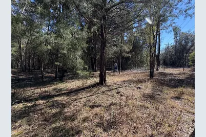 11727 SW 122nd Street, Gainesville, FL 32608 - Photo 15